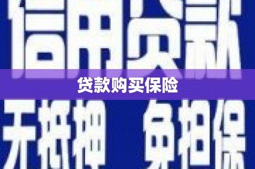 金宁贷款购买保险