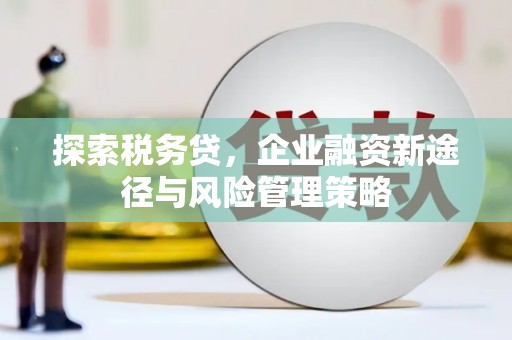 金宁探索税务贷，企业融资新途径与风险管理策略