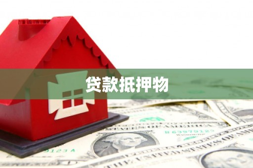 金宁贷款抵押物