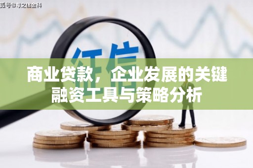 金宁商业贷款，企业发展的关键融资工具与策略分析