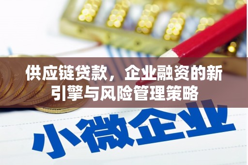 金宁供应链贷款，企业融资的新引擎与风险管理策略
