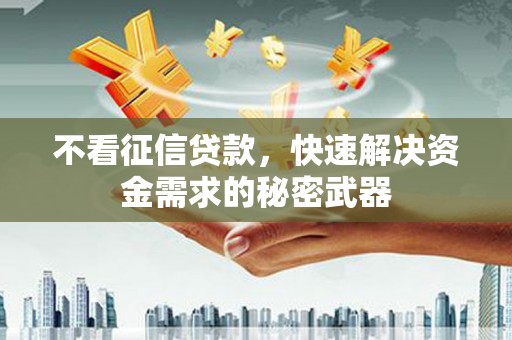 金宁不看征信贷款，快速解决资金需求的秘密武器