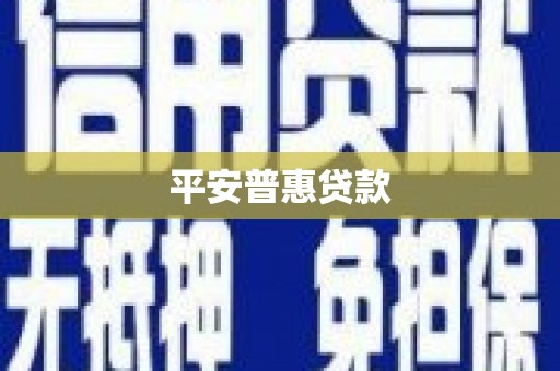 金宁平安普惠贷款