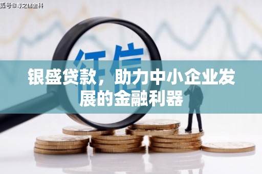 金宁银盛贷款，助力中小企业发展的金融利器