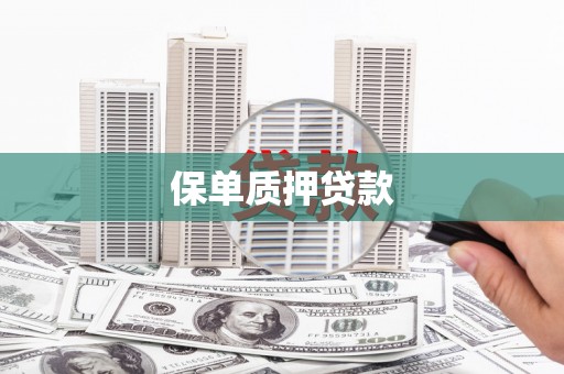 金宁保单质押贷款