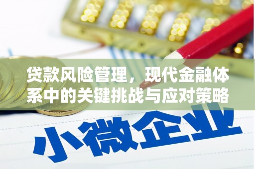 金宁贷款风险管理，现代金融体系中的关键挑战与应对策略