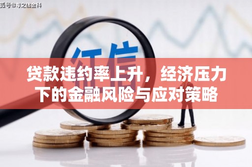 金宁贷款违约率上升，经济压力下的金融风险与应对策略