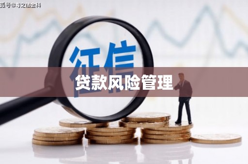 金宁贷款风险管理