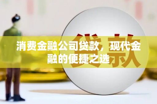 金宁消费金融公司贷款，现代金融的便捷之选