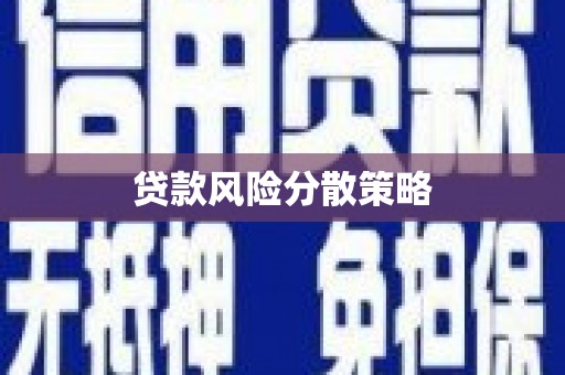 金宁贷款风险分散策略