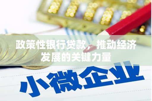 金宁政策性银行贷款，推动经济发展的关键力量