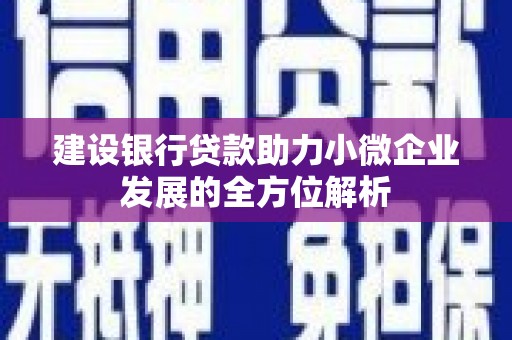 金宁建设银行贷款助力小微企业发展的全方位解析