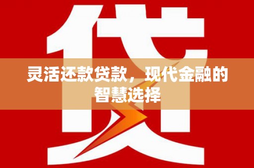 金宁灵活还款贷款，现代金融的智慧选择