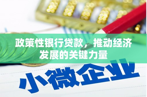 金宁政策性银行贷款，推动经济发展的关键力量