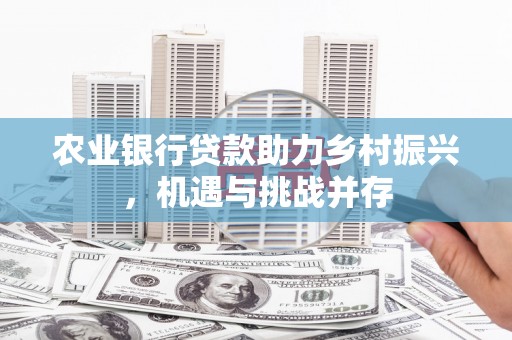 金宁农业银行贷款助力乡村振兴，机遇与挑战并存