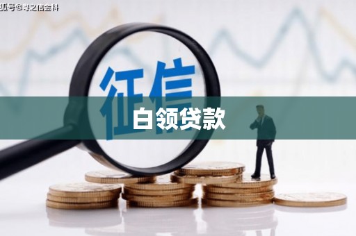 金宁白领贷款