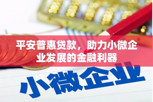 金宁平安普惠贷款，助力小微企业发展的金融利器