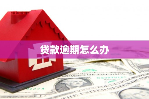 金宁贷款逾期怎么办