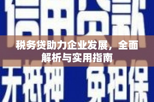 金宁税务贷助力企业发展，全面解析与实用指南