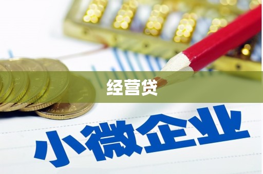 金宁经营贷