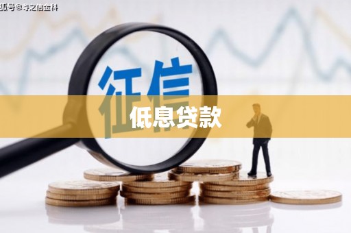 金宁低息贷款