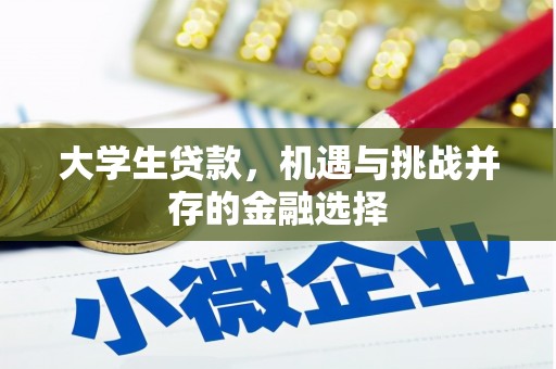 金宁大学生贷款，机遇与挑战并存的金融选择