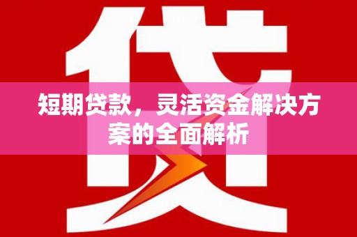 金宁短期贷款，灵活资金解决方案的全面解析