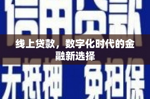 金宁线上贷款，数字化时代的金融新选择