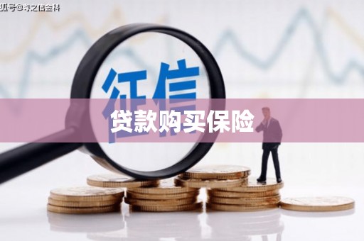 金宁贷款购买保险