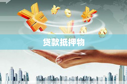 金宁贷款抵押物