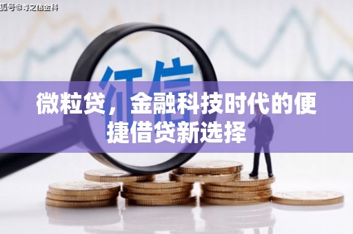 金宁微粒贷，金融科技时代的便捷借贷新选择