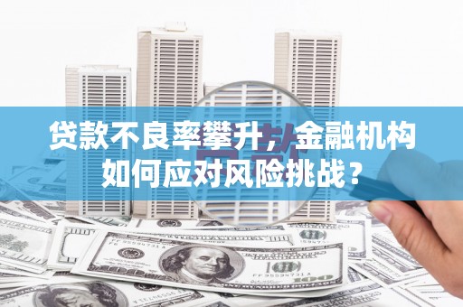 金宁贷款不良率攀升，金融机构如何应对风险挑战？
