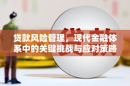 金宁贷款风险管理，现代金融体系中的关键挑战与应对策略