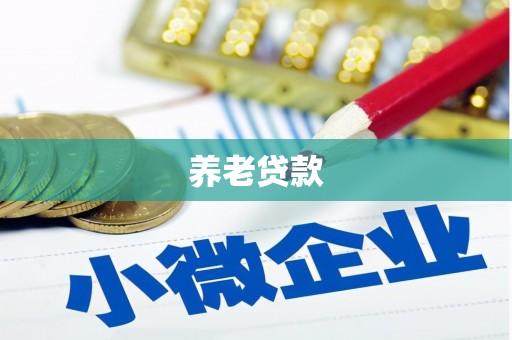 金宁养老贷款