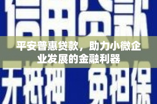 金宁平安普惠贷款，助力小微企业发展的金融利器
