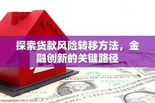 金宁探索贷款风险转移方法，金融创新的关键路径