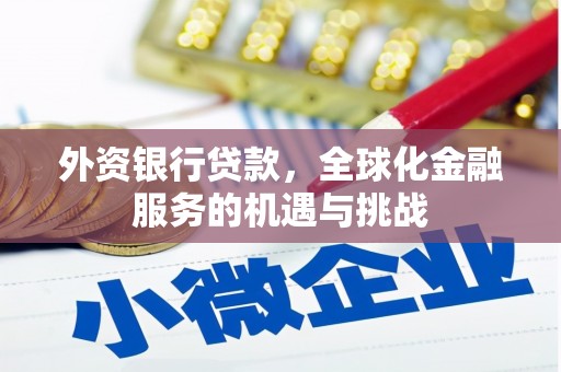金宁外资银行贷款，全球化金融服务的机遇与挑战