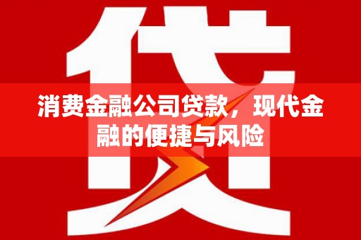 金宁消费金融公司贷款，现代金融的便捷与风险