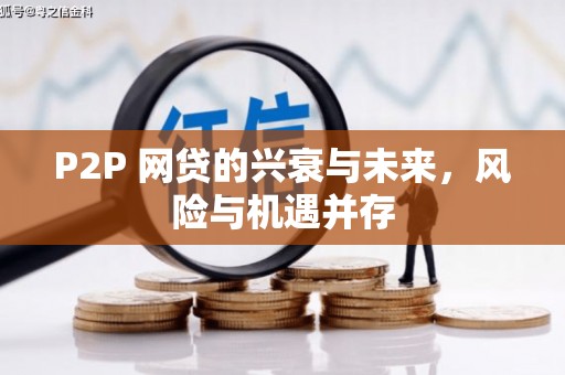金宁P2P 网贷的兴衰与未来，风险与机遇并存